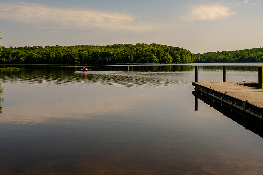 newly cleaned pond palestine tx